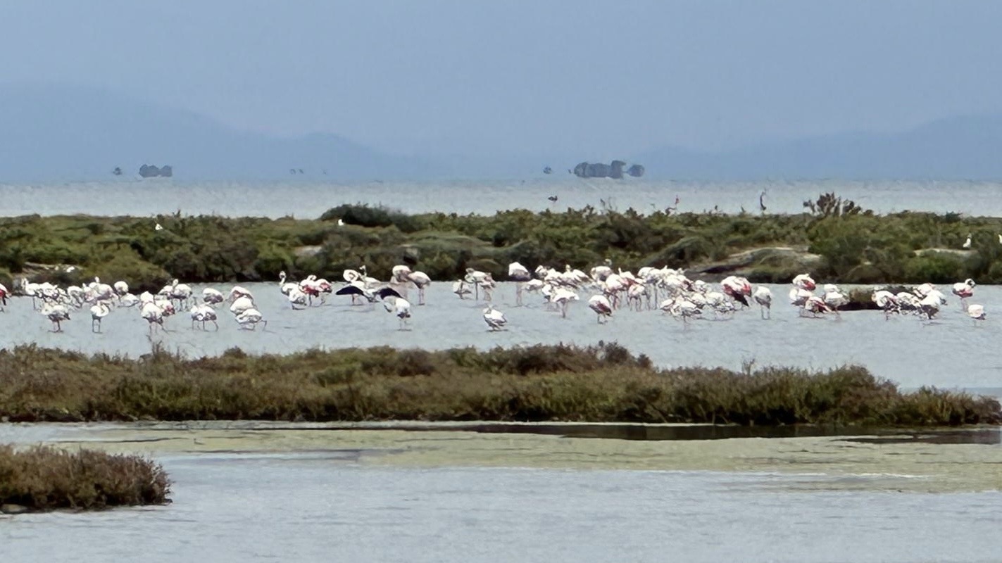 Czy kobietom łatwo jest się zestarzeć? Czy kobietom łatwo jest się zestarzeć?