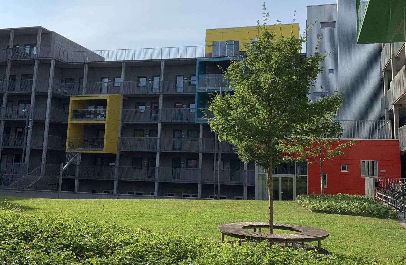 Studiowanie za granicą - marzenie o lepszej rzeczywistości czy rzucenie się z motyką na słońce?